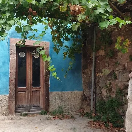 公寓 Domo Mea Authentic And Modern At The Castle *